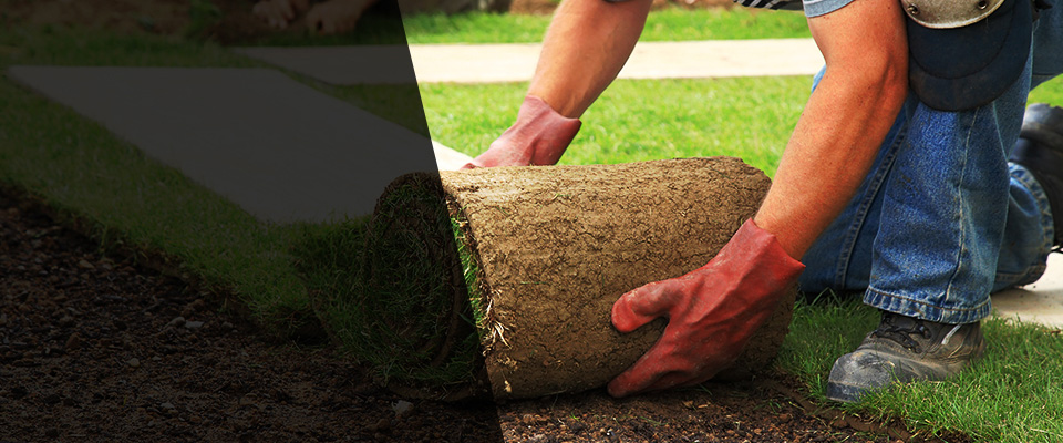 West Newton Landscapers